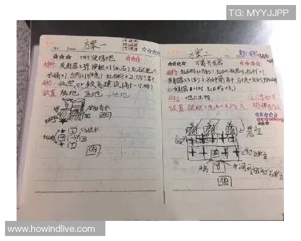 海外援兵的生存现状与挑战解析在王者荣耀中的表现与生活 海外援兵的生存现状与挑战解析在王者荣耀中的表现与生活