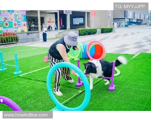 选手们的宠物萌照大集合让我们一起感受他们的温馨与快乐时光 选手们的宠物萌照大集合让我们一起感受他们的温馨与快乐时光